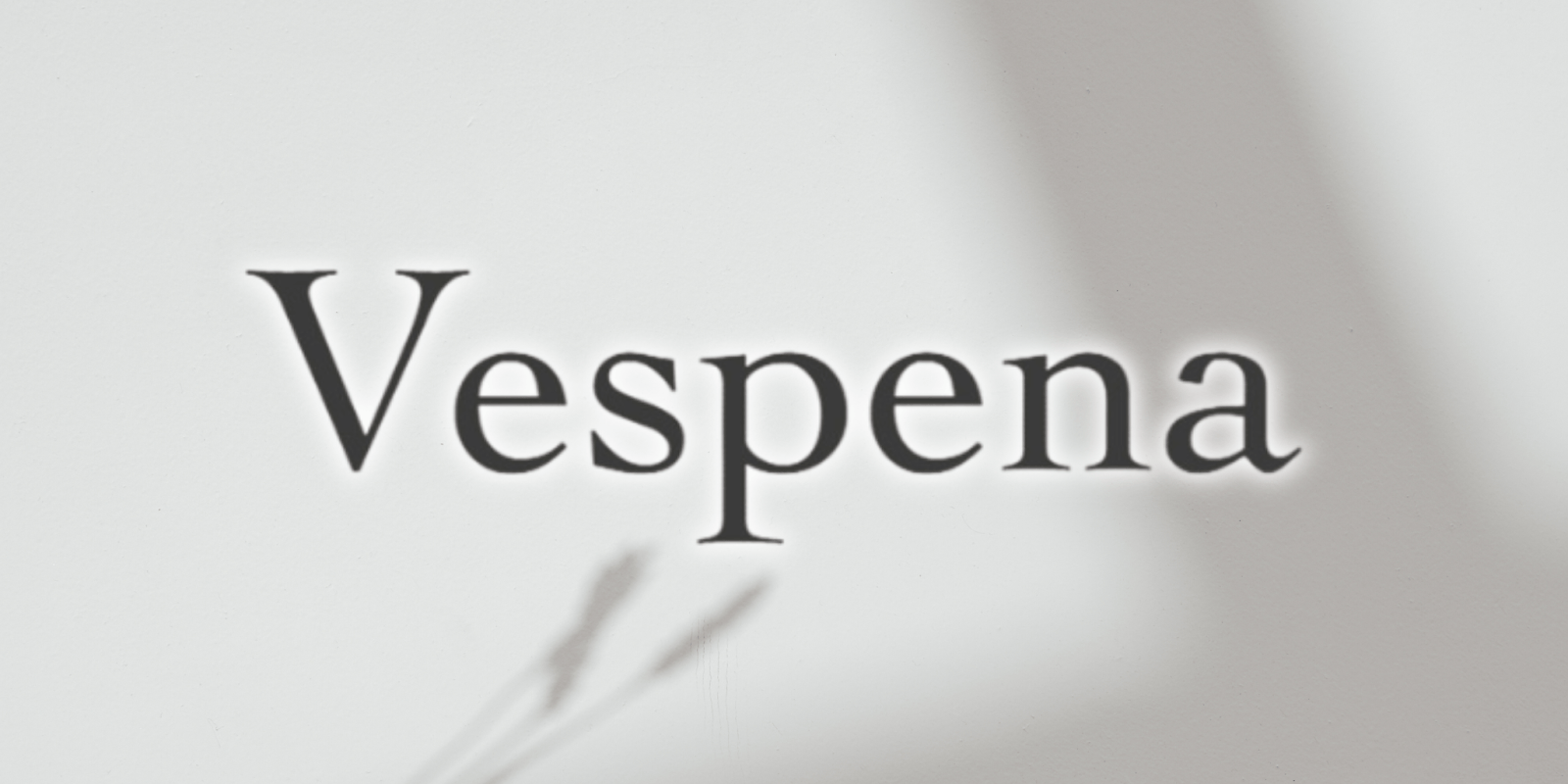 Barry Hayes Brings Innovation To E-Commerce Through Vespena, Offering Unmatched Selection Of Products And Exceptional Service