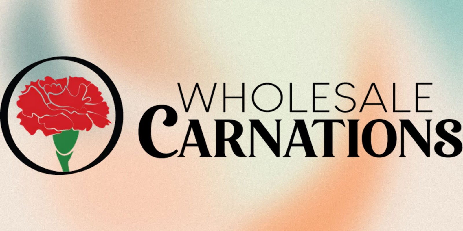 Unnamed 3