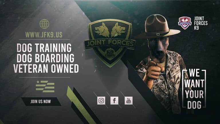 Joint Forces K9 logo promoting dog training, boarding, and veteran-owned services, emphasizing personalized care and expert training.