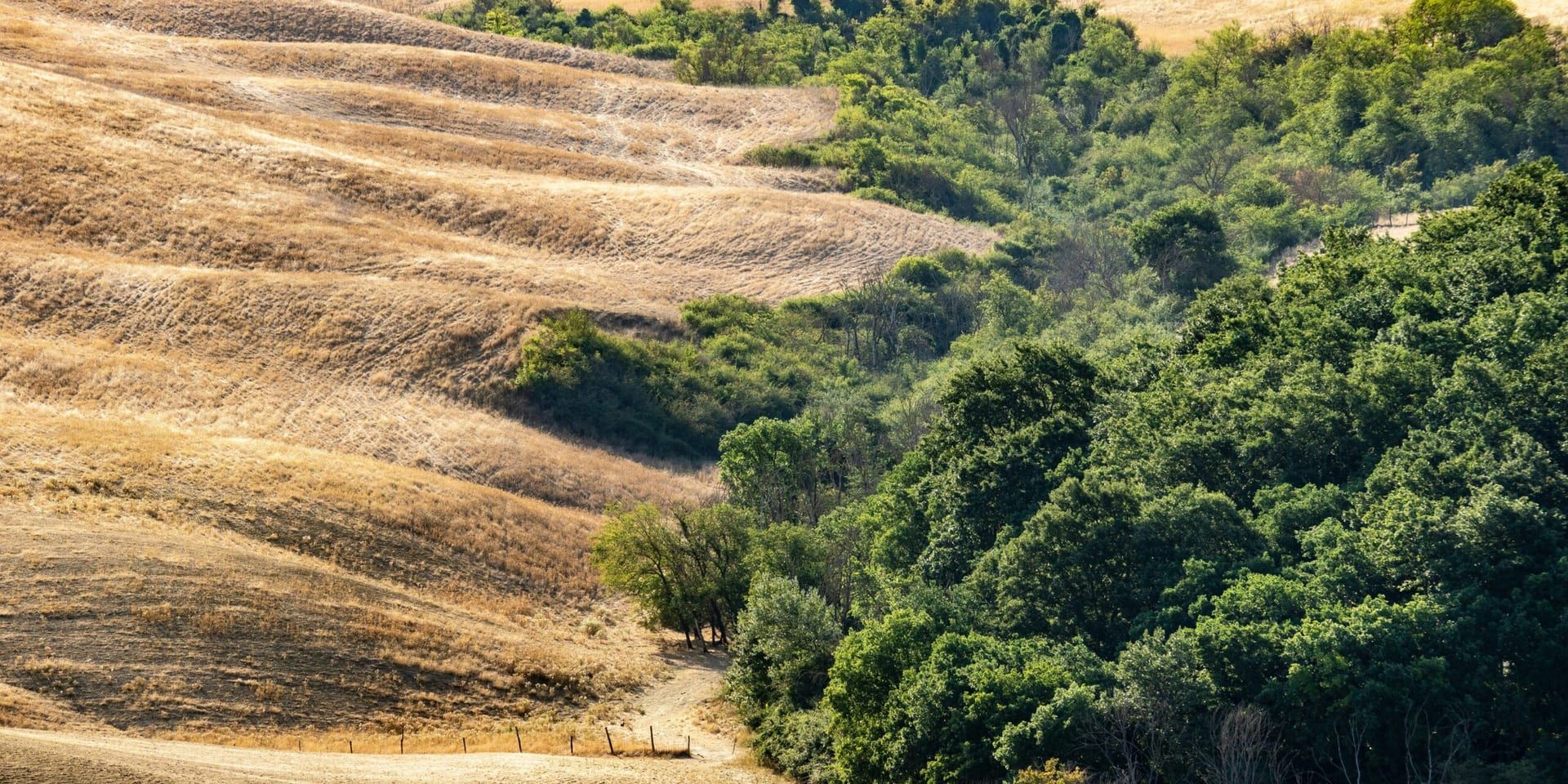California’s Housing Market Set for Transformation with CEQA Rollback