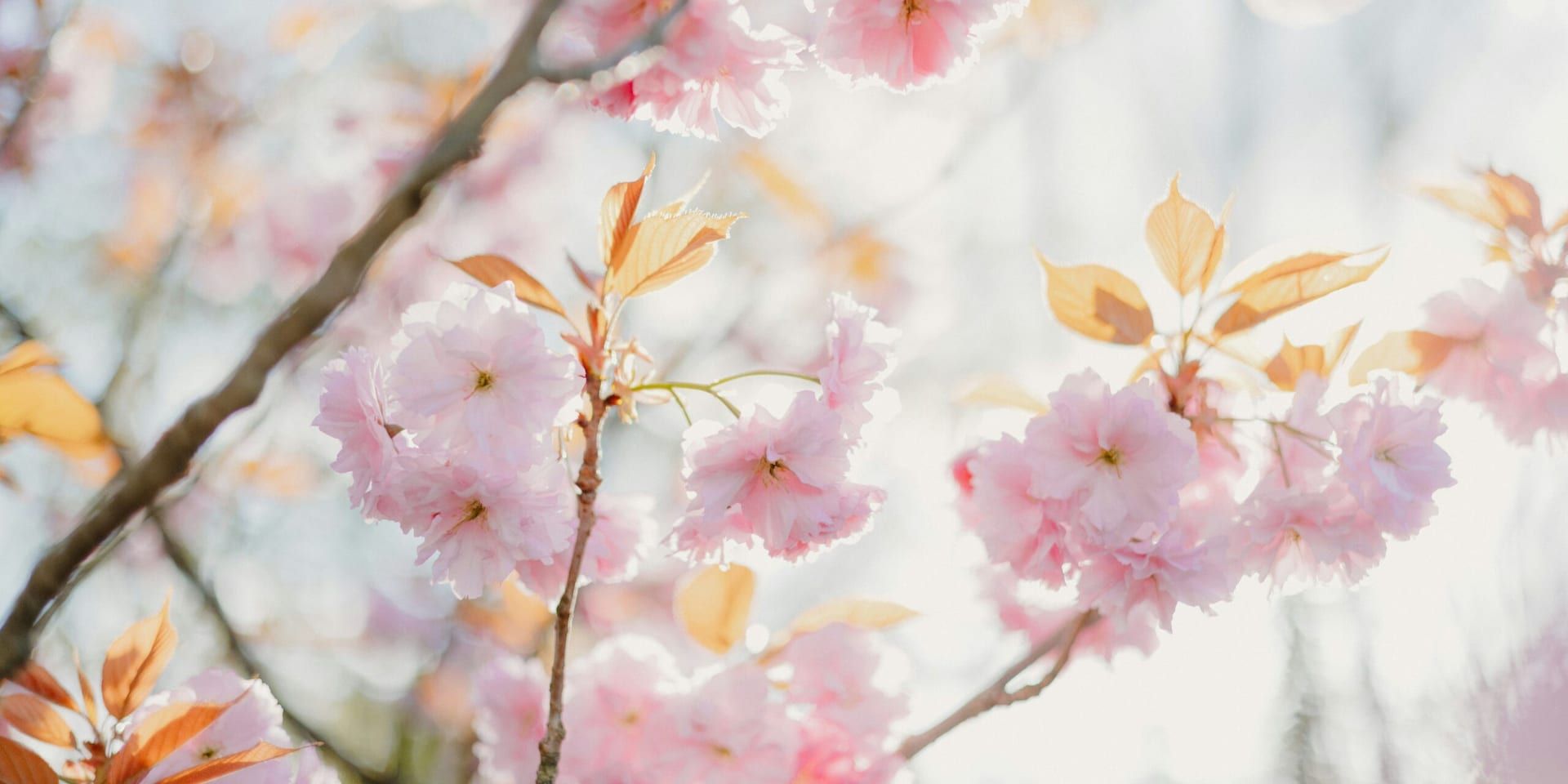 Realtor Confidence Rises as Spring 2025 Market Shows Signs of Stabilization